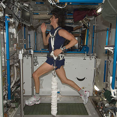 Sunita Williams, equipped with a bungee harness, exercises on the ISS